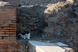 Archaeological Park of Pompeii